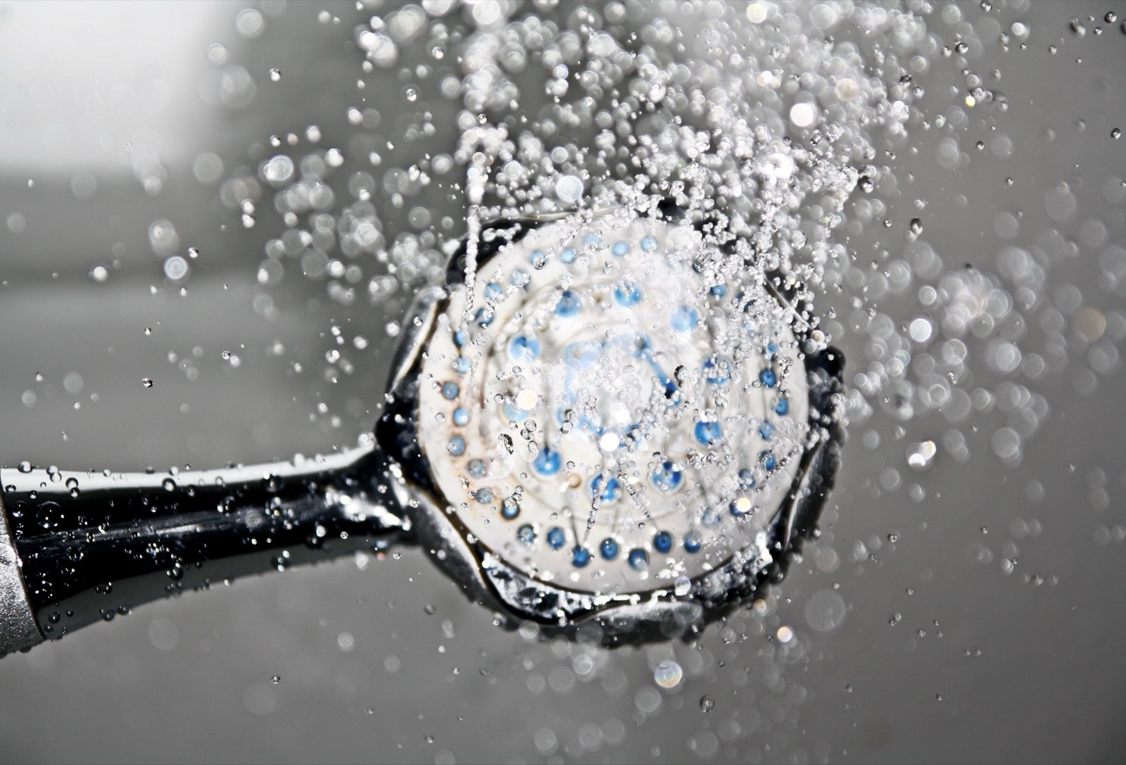 Wasser strömt aus einem Duschkopf, dem typischen Sitz von Pseudomonas aeruginosa